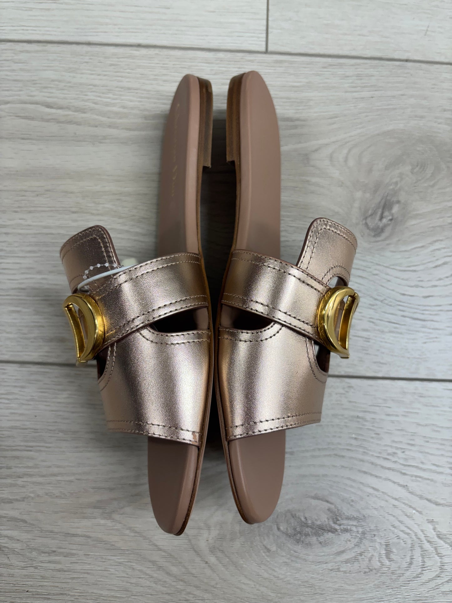 NWT Dior 30 Montaigne Slide in Rose Calfskin
